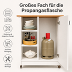 Innenfach des Küchenwagens mit Stauraum für Propangasflasche und Zubehör